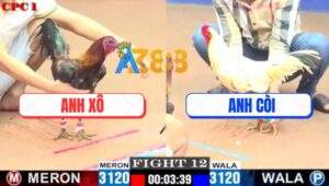 Trận 12 CPC1 22/7/2025 - Một Con Đi Bán Muối, Con Kia Về Với Ông Bà