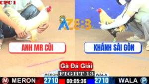 Trận 13 CPC1 10/7/2025 - Bướm Anh Mr Cùi Đi Cò Cò Đá Chuối Chết Tươi