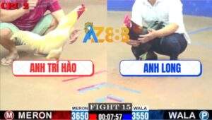 Trận 15 CPC2 4/7/2025 - Điều Cọp Anh Long Trâu Gà Úa Đâm Như Gãi Ngứa