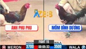 Trận 15 CPC3 12/7/2025 - Gà Anh Phu Phu Đá Chân Nào Thấm Chân Đó