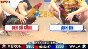 Trận 18 CPC1 8/7/2025 - Xám Điều Mặt Râu Anh Tin Đâm Cựa Quá Hiểm