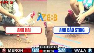 Trận 18 CPC2 27/7/2025 - Anh Bảo Sting Và Anh Hai Không Phân Thắng Bại