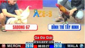 Trận 19 CPC1 10/7/2025 - Úa Hiệu SaBong 67 Đá Điều Anh Bình Bung Bồ