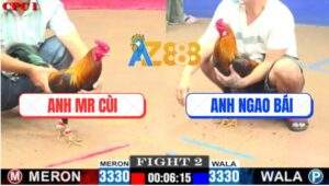 Trận 2 CPC1 10/7/2025 - Điều Cọp Anh Ngao Bái Đá Không Kịp Tha Lơ