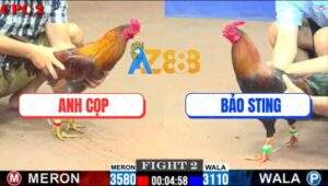 Trận 2 CPC2 27/7/2025 - Anh Bảo Sting Ra Quân Thất Thủ Trước Anh Cọp