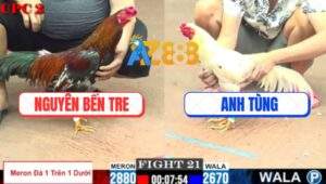 Trận 21 CPC2 11/7/2025 - Bướm Anh Tùng Nhảy Hụt Chân Bị Đá Tai Biến