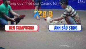 Trận 26 Bồ Ton Hon 6/7/2025 - Anh Bảo Sting Lụm Cái Xổ 200 Quá Ngọt