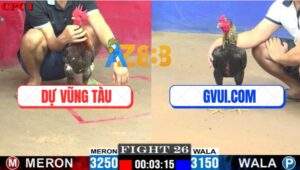 Trận 26 CPC1 24/7/2025 - Chuối Đen GVUI.COM Đang Thắng Phóng Như Bay