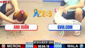 Trận 28 CPC1 3/7/2025 - Gà Bướm GVUI Chưa Kịp Nhìn Mặt Đối Thủ Đã Nằm