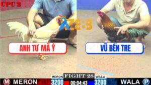 Trận 28 CPC2 2/7/2025 - Gà Bướm Anh Tư Mã Ý Mai Độ Phản Ăn 2 Quá Đẹp