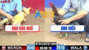 Trận 29 CPC1 5/7/2025 - Anh Bảo Nhỏ Với Anh Hiếu - Ngang Tài Ngang Sức