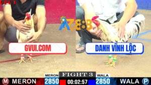 Trận 3 CPC1 5/7/2025 - GVUI.COM Hạ Luôn Gốc Bự Anh Danh Vĩnh Lộc