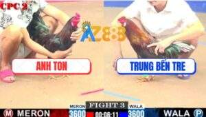 Trận 3 CPC2 4/7/2025 - Gà Que Anh Ton Đá Bo Như Cây Đập Hạ Điều Mau Lẹ