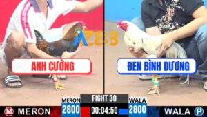 Trận 30 CPC3 24/7/2025 - Nài Gà Xanh Bị Trọng Tài Đuổi Ra Ngoài