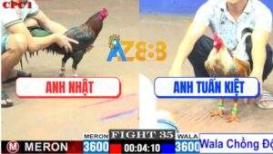 Trận 35 CPC1 28/7/2025 - Gà Cú Anh Tuấn Kiệt Lên Lớp Trong 1 Nốt Nhạc