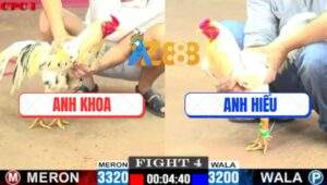 Trận 4 CPC1 5/7/2025 - Bướm Anh Khoa Tiễn Bướm Anh Hiếu Lên Đường