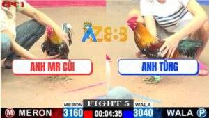 Trận 5 CPC1 10/7/2025 - Điều Bông Anh Tùng Hạ Đối Thủ Không 1 Vết Nhơ