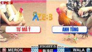 Trận 5 CPC2 25/7/2025 - Bướm Anh Tư Nhảy Sai Nhịp Bị Điều Đá Banh Xác