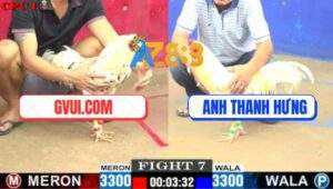 Trận 7 CPC1 5/7/2025 - Anh Thanh Hưng Tường GVUI.COM Là Quả Hông Mềm