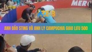 Anh Bảo Sting Và Anh Ly Campuchia Giao Lưu 500 Tại TonHon 13/8/2025