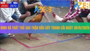 Bồ Gà Dinh Bà Thất Thủ Sau Trận Đâu Gấy Tranh Cải Ngày 30/8/2025