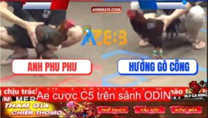 Trận 21 CPC5 31/8/2025 - Bổn Hiệu Anh Phu Phu Gồng Nước Khuya Quá Tốt