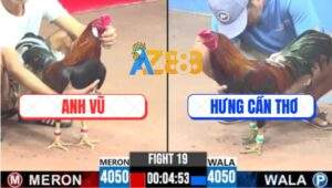 Trận 19 CPC3 5/8/2025 - Gà Anh Hưng Cần Thơ Bỏ Chạy Ngay Trận Ra Quân