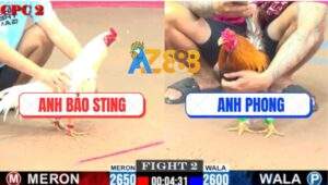 Trận 2 CPC2 6/8/2025 - Anh Bảo Sting Ra Quân Bị Đá Bung Chạy