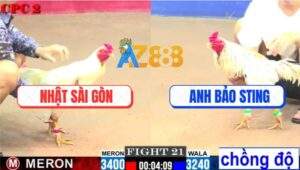 Trận 21 CPC2 1/8/2025 - Bị Phản Ăn 2, Bảo Sting Nóng Máu Ném Chiến Kê