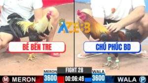 Trận 28 CPC3 5/8/2025 - Gà Chuối Anh Bé Đá Điều Chú Phúc Chạy Mất Tăm