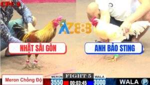 Trận 5 CPC2 1/8/2025 - Vàng Tàu Anh Nhật Hạ Úa Hiệu Bảo Sting Lần Hai