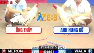 Trận 5 CPC2 3/8/2025 - Bướm Ông Thầy Tiễn Đối Thủ Bằng 1 Cú knock Out