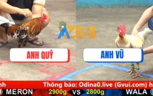 Trận 6 CPC5 Ngày 17/08/2025