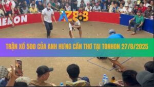 Trận Xổ 500 Của Anh Hưng Cần Thơ Tại Bồ Gà TonHon Ngày 27/8/2025