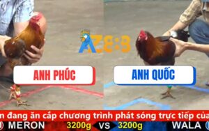 Trận 18 CPC5 Ngày 17/08/2025