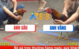 Trận 9 CPC5 Ngày 15/08/2025