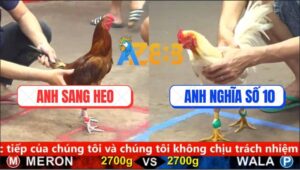 Trận 14 CPC5 18/9/2025 - Khét Chân Trắng Anh Sang Heo Có Chân Xạo Lờ