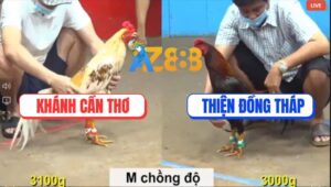 Trận 30 CPC5 3/9/2025 - Camelo Anh Khánh Chồng Độ Đâm Điều Hộc Máu