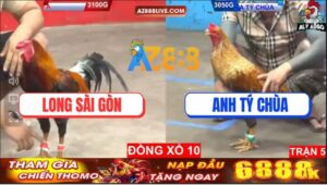 Trận 5 CPC5 10/9/2025 - Gà Cú Anh Tý Chùa Sang C5 Tàn Sát Đối Thủ