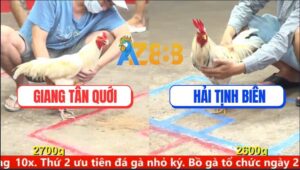 Trận 9 CPC5 10/9/2025 - Bướm Anh Hải Tịnh Biên Có Chân Xạo Lờ Cứu Chủ