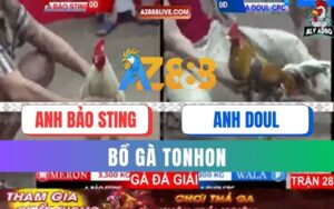 Trận 28 Bồ Tonhon 12/09/2025