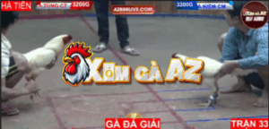 Trận 33 Bồ Hà Tiên 30/10/2025 - Kiểm Cà Mau Ra Sân Đá Giải Thắng Lợi