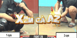 Trận 28 CPC6 31/10/2025 - Trận Đấu Chấp Nặng Nhất Lên Tới 1 Ký