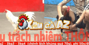 Trận 6 CPC5 31/10/2025 - Bướm Hiệu Anh Quang Khiến Đối Thủ Ngậm Đắng