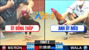 Trận 2 CPC6 12/10/2025 - Gà Anh Út Mèo Chậm Một Nhịp Bị Đối Thủ Hạ Sát