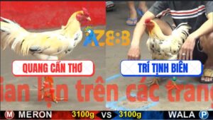 Trận 22 CPC5 22/10/2025 - Bướm Đỏ Chạy Xe Xanh Đá Cho Chạy Luôn