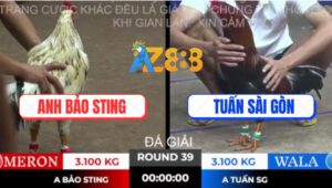 Trận 39 Ton Hon 10/10/2025 - Anh Bảo Sting Đè Bẹp Má Minh Tay Nước Đầu