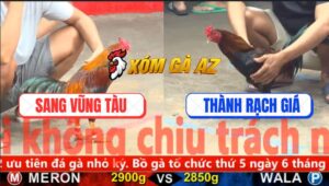 Trận 6 CPC5 30/10/2025 - Điều Xanh Trước Khi Chết Có Chân Cứu Chủ