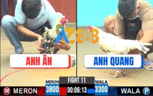 Trận 11 CPC6 06/10/2025