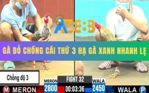 Trận 32 CPC6 06/10/2025